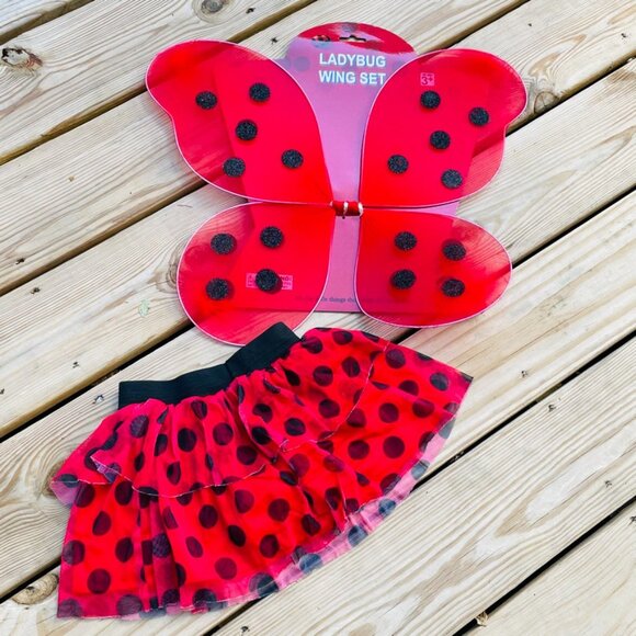 🐞 Kids Costume Set- Ladybug Skort & Wings - Picture 1 of 8